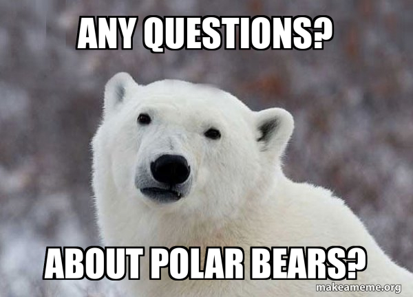 Popular Opinion Polar Bear meme