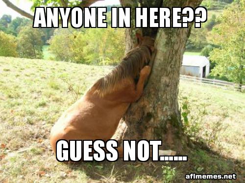 ANYONE IN HERE?? Guess Not...... - Hide And Seek Meme Generator
