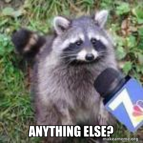 anything else? Meme Generator