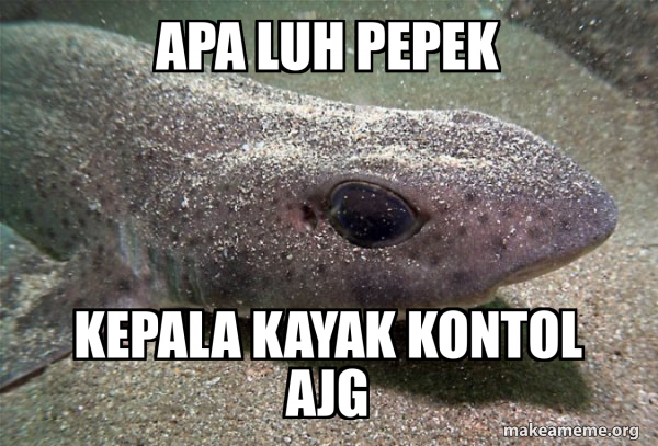 Dirty Joke Dogfish meme