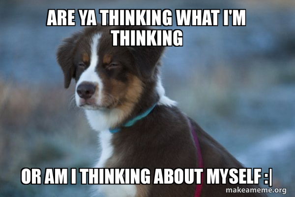 Unsure Dog meme