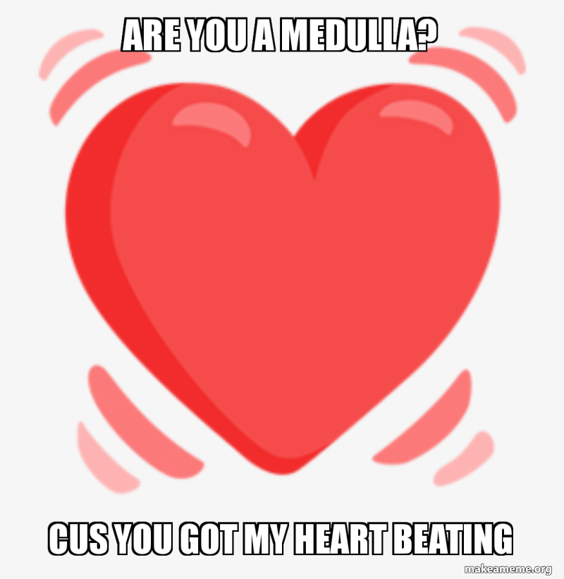 Are You A Medulla Cus You Got My Heart Beating Make A Meme