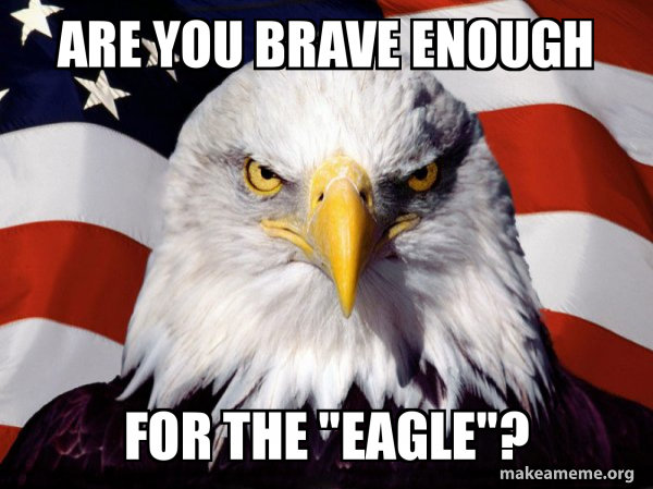 American Pride Eagle meme