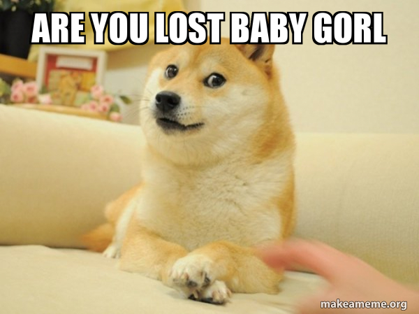 Doge meme