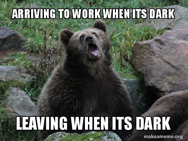 Arriving to work when its dark Leaving when its dark - Sarcastic Bear |  Make a Meme
