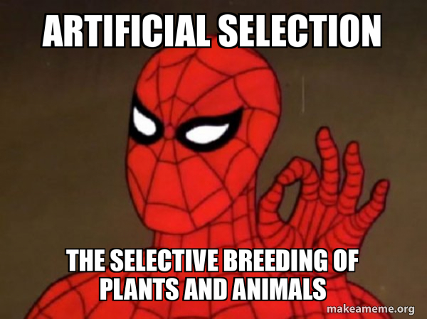 Selective Meme Artificial Selection the selective breeding of plants and animals ...