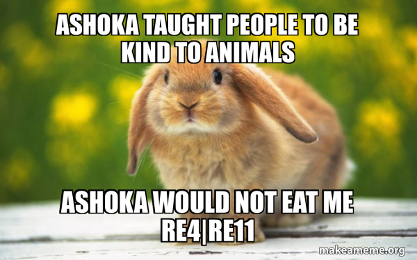 Regretful Rabbit meme