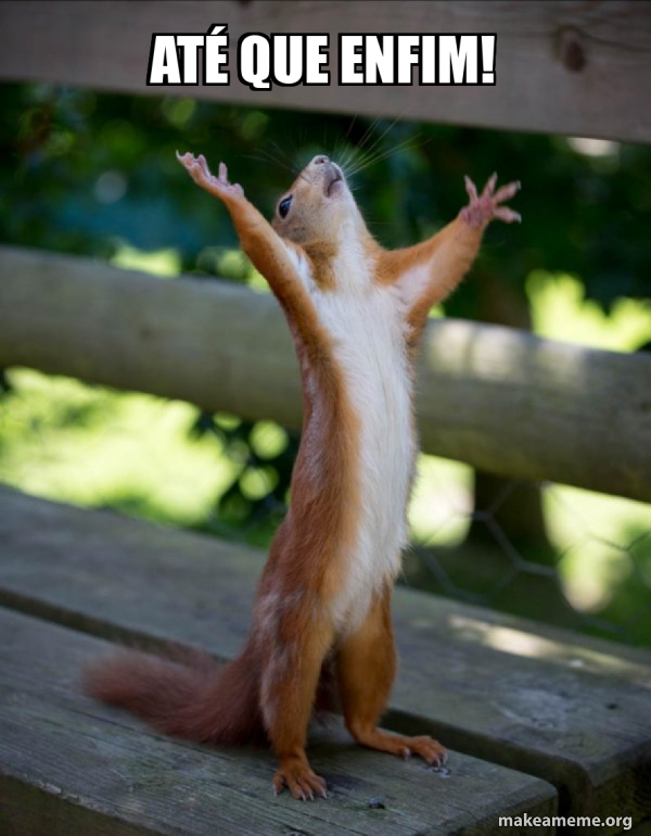 ATÉ que enfim! - Happy Squirrel Meme Generator