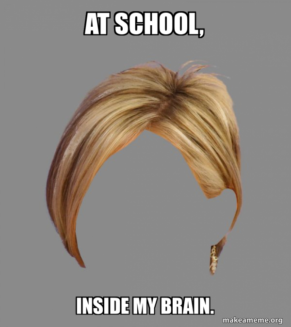 The Karen Hair meme