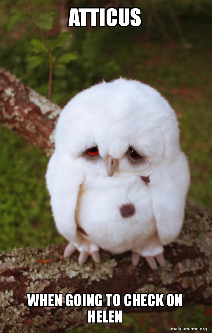 Atticus when going to check on Helen Sad Owl Meme Generator