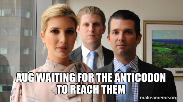 The Trump Kids Eric, Donald Jr and Ivanka meme