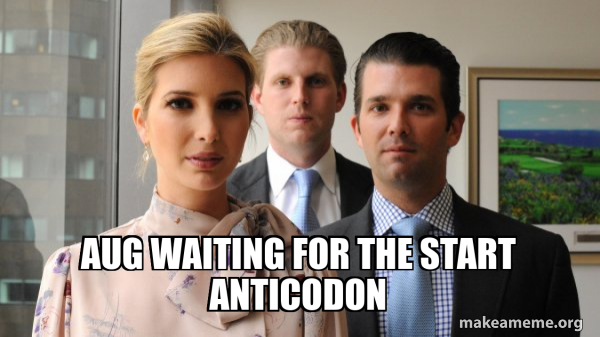 The Trump Kids Eric, Donald Jr and Ivanka meme