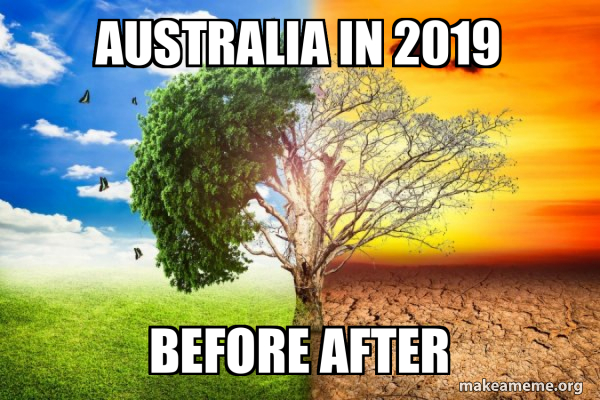 Climate Change / Global Warming meme