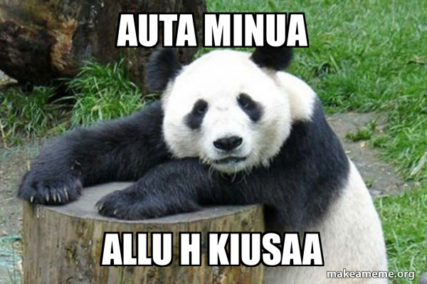 Confession Panda meme