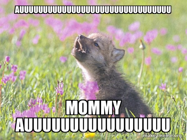 Baby Insanity Wolf meme