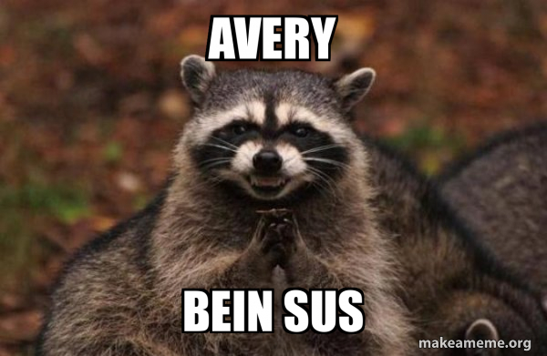avery bein sus - Evil Plotting Raccoon Meme Generator