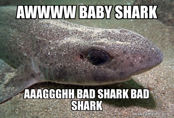 Dirty Joke Dogfish meme