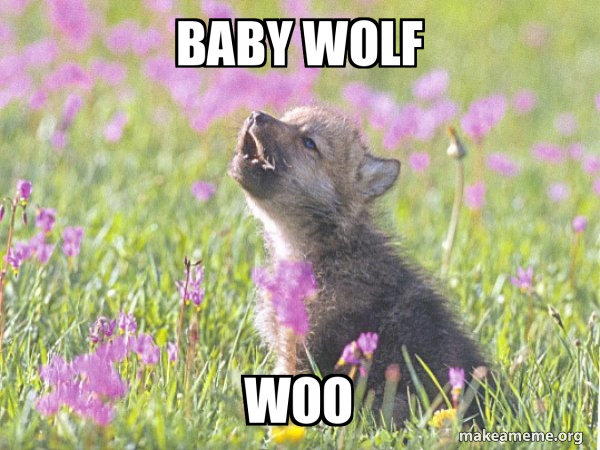 Baby Insanity Wolf meme