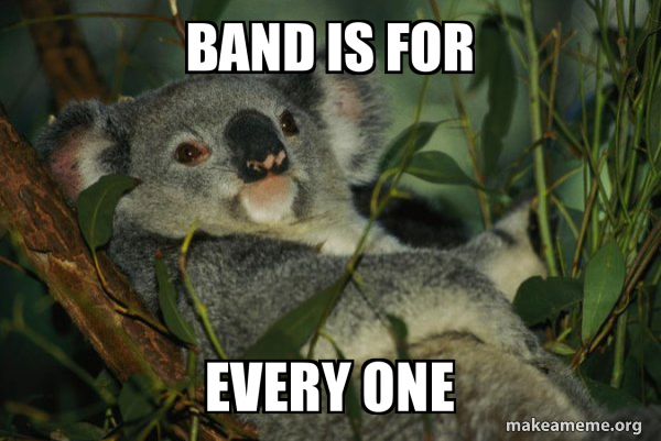 Laid Back Koala meme