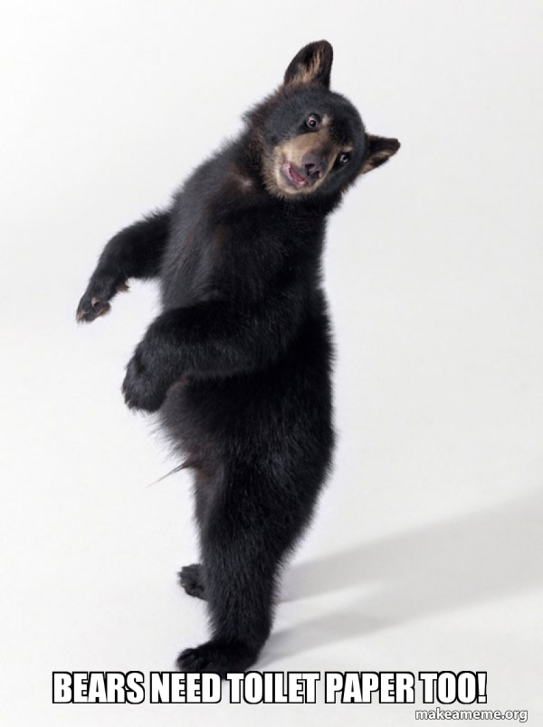 BEARS NEED TOILET PAPER TOO! Super Bear'd Make a Meme
