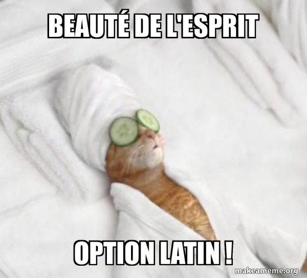 Pampered Cat Meme meme