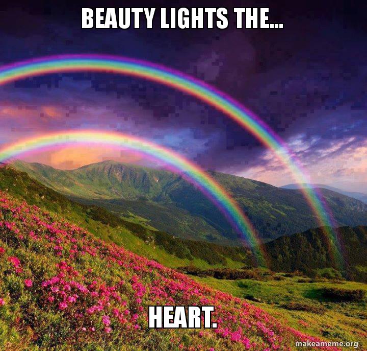 beauty-lights-the-heart-rtyuiopoiuyt-meme-generator