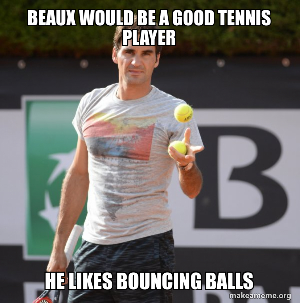 Roger Federer meme