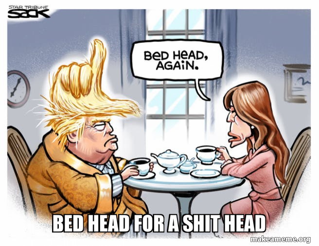 bed head for a shit head Make a Meme