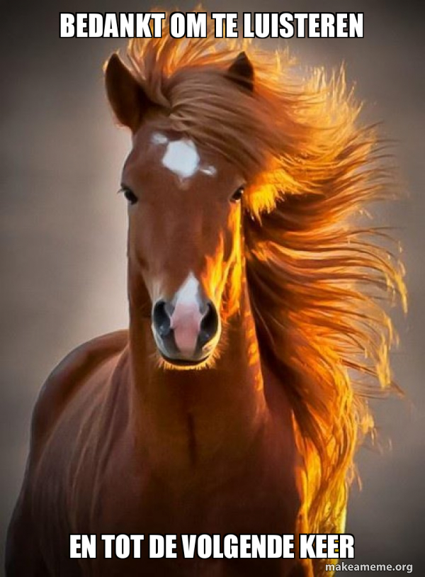 Ridiculously photogenic horse meme