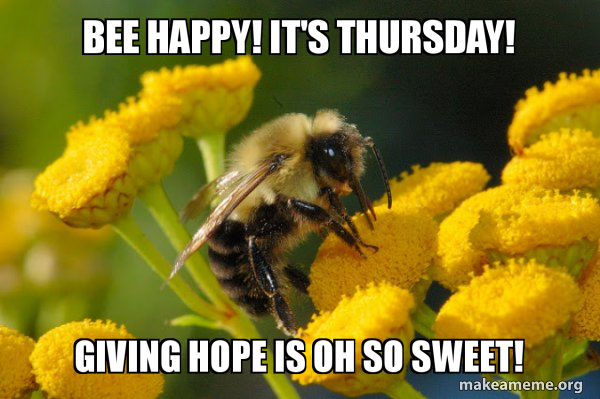 Good Guy Bee meme