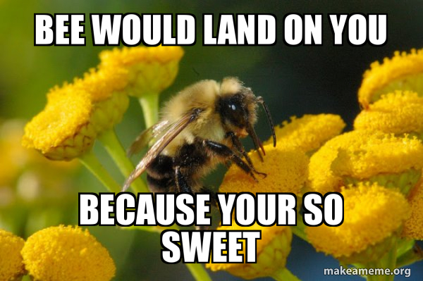 Good Guy Bee meme