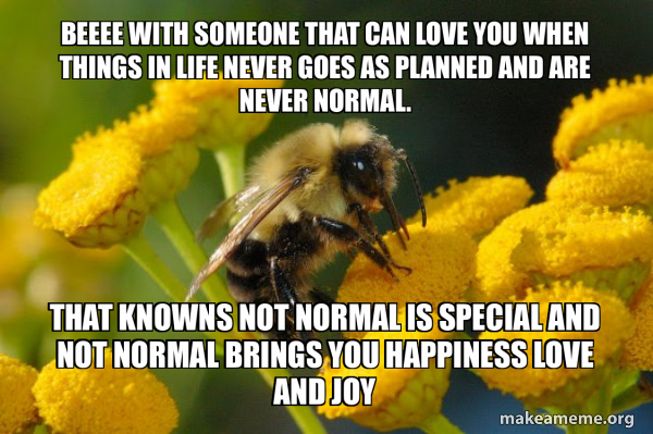 Good Guy Bee meme