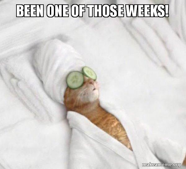 Been one of those weeks! Pampered Cat Meme Make a Meme