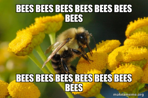 Good Guy Bee meme