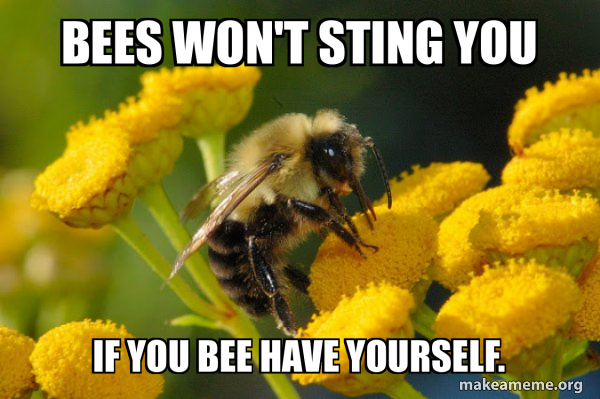 Good Guy Bee meme