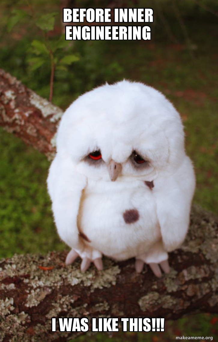 Before Inner Engineering I was like this!!! - Sad Owl Meme Generator, image size:726x1140