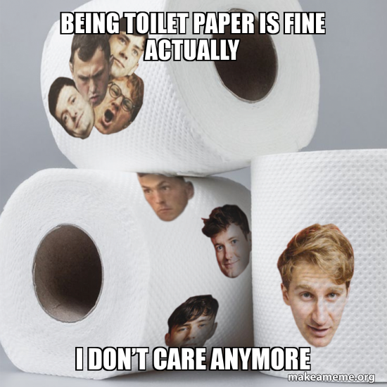 BEING TOILET PAPER IS FINE ACTUALLY I donâ€™T CARE ANYMORE Meme Generator