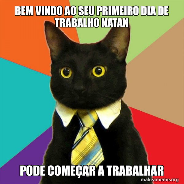 Business Cat meme