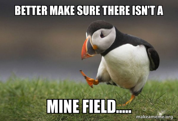 Unpopular Opinion Puffin meme