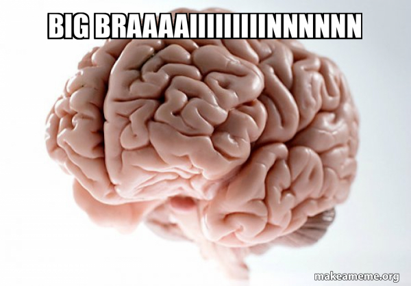 Scumbag Brain meme