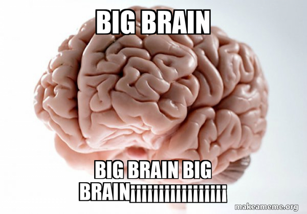 Scumbag Brain meme