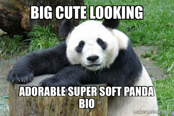 Confession Panda meme