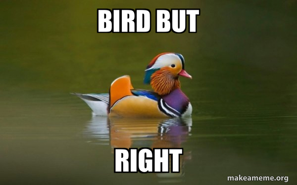 Fashionable Advice Mallard meme