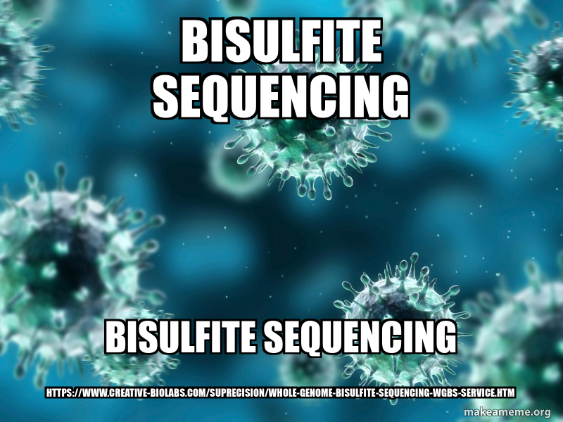 Bisulfite sequencing Bisulfite sequencing https//www.creativebiolabs
