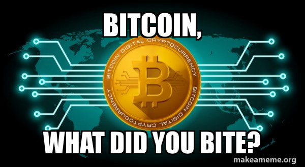 Bitcoin meme