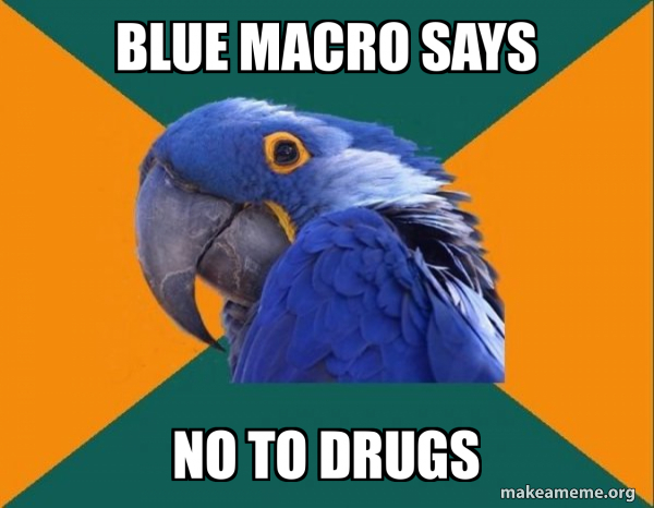 Paranoid Parrot meme