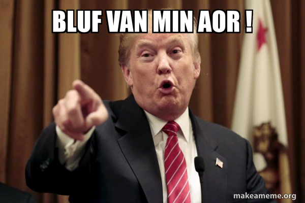 bluf-van-min.jpg