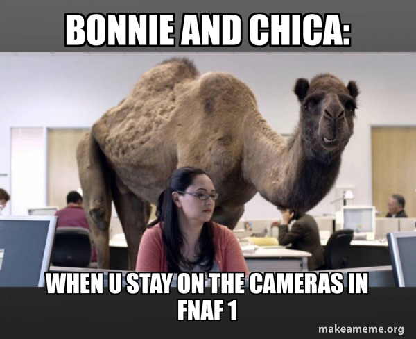Hump Day Camel meme