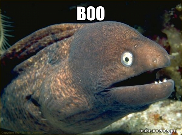 Boo - Bad Joke Eel Meme Generator