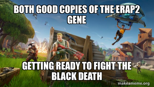 Fortnite Battle Royale game meme